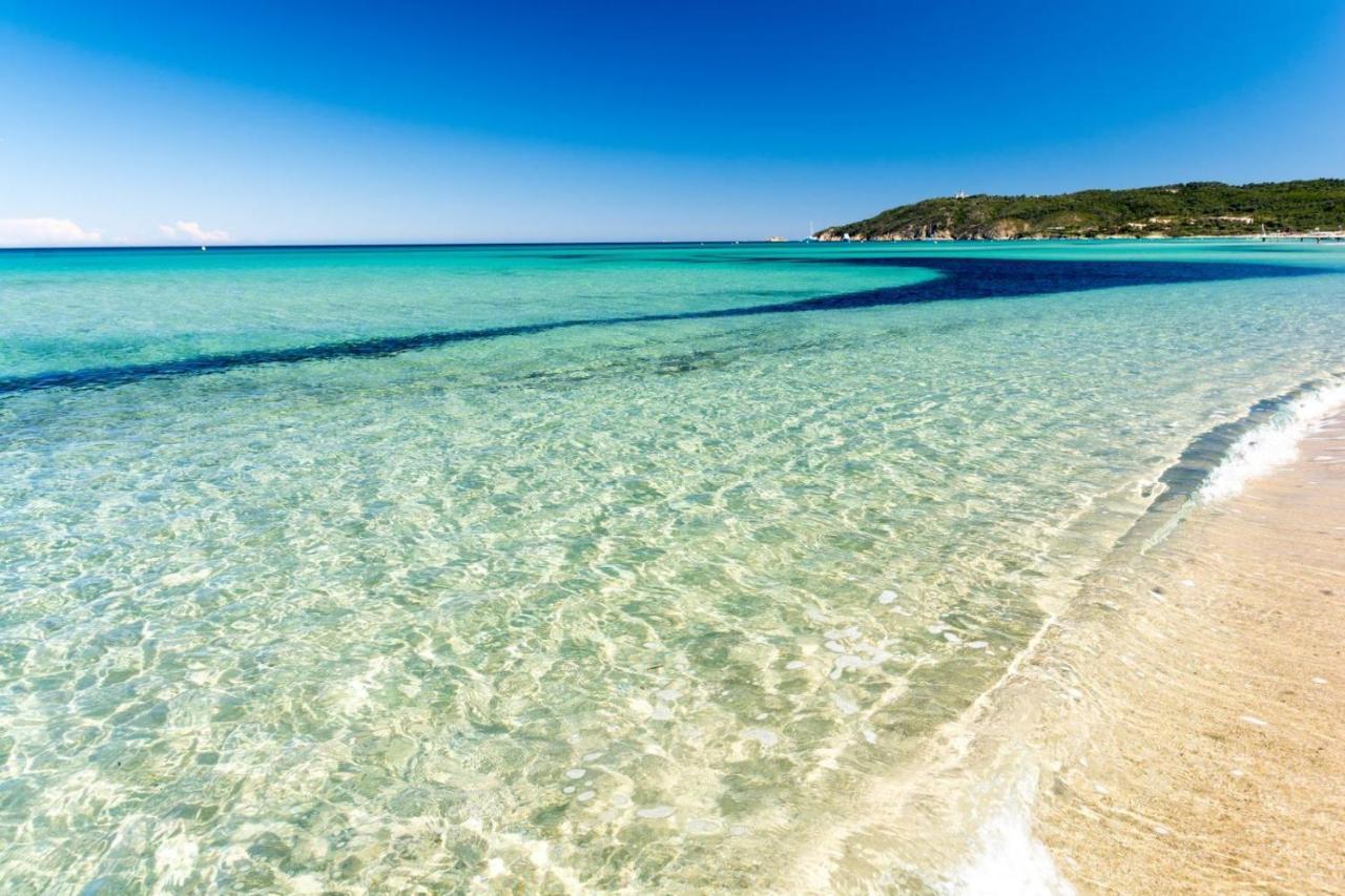 Le Terra-Cota 3 Ch Privees 10' Gare-Port Et Plage, Wfi, Cosy Toulon Kültér fotó